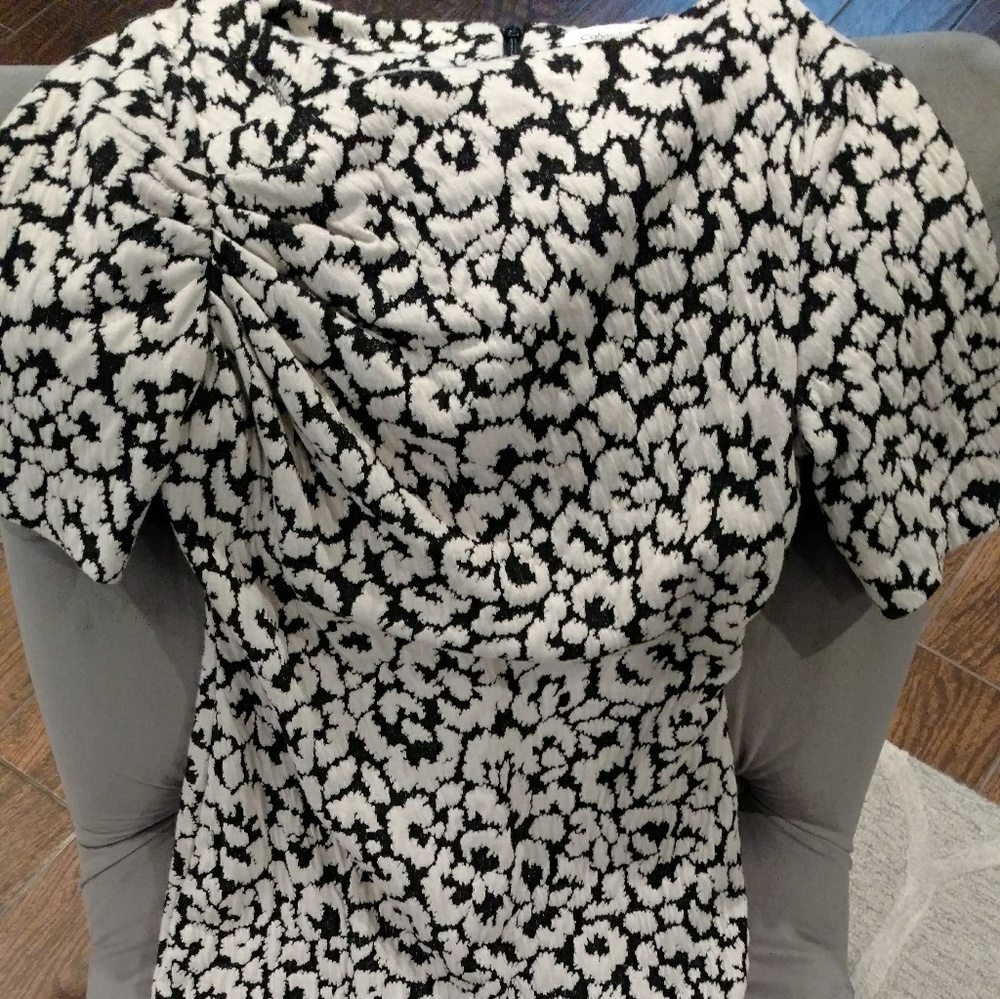 Calvin Klein Ivory and black dress